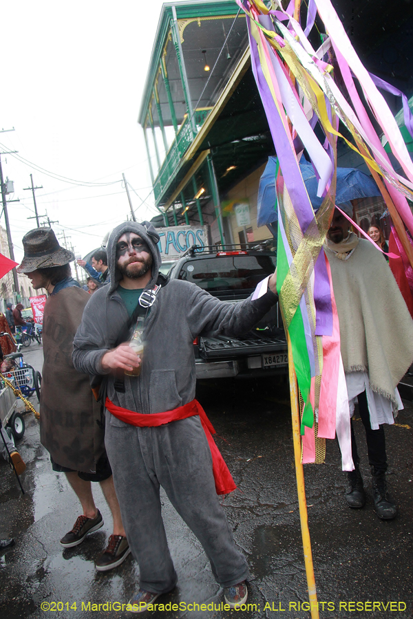 2014-Mardi-Gras-Day-11629