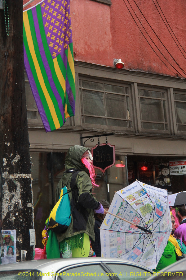 2014-Mardi-Gras-Day-11631