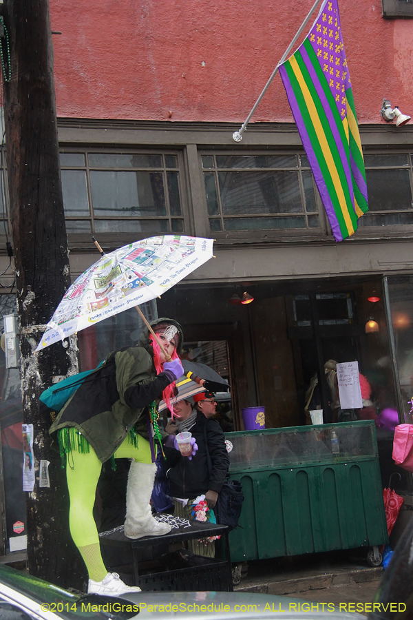 2014-Mardi-Gras-Day-11635