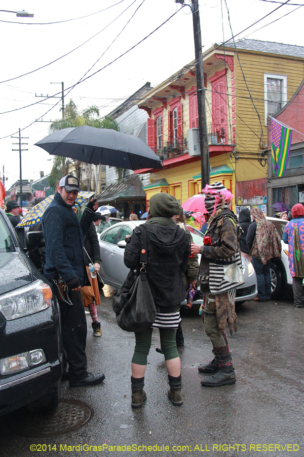 2014-Mardi-Gras-Day-11642