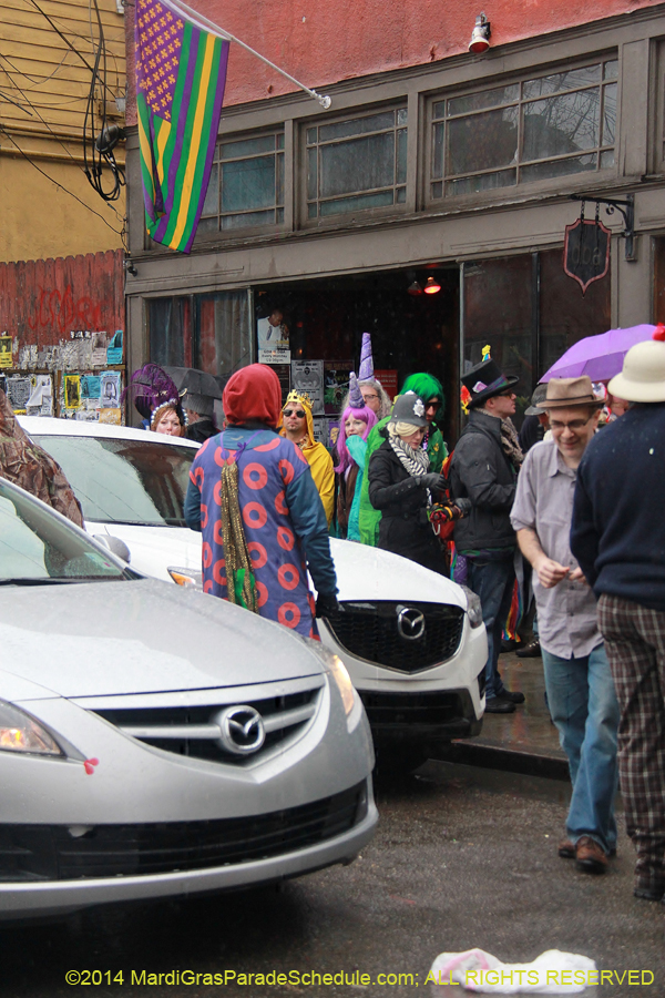 2014-Mardi-Gras-Day-11644