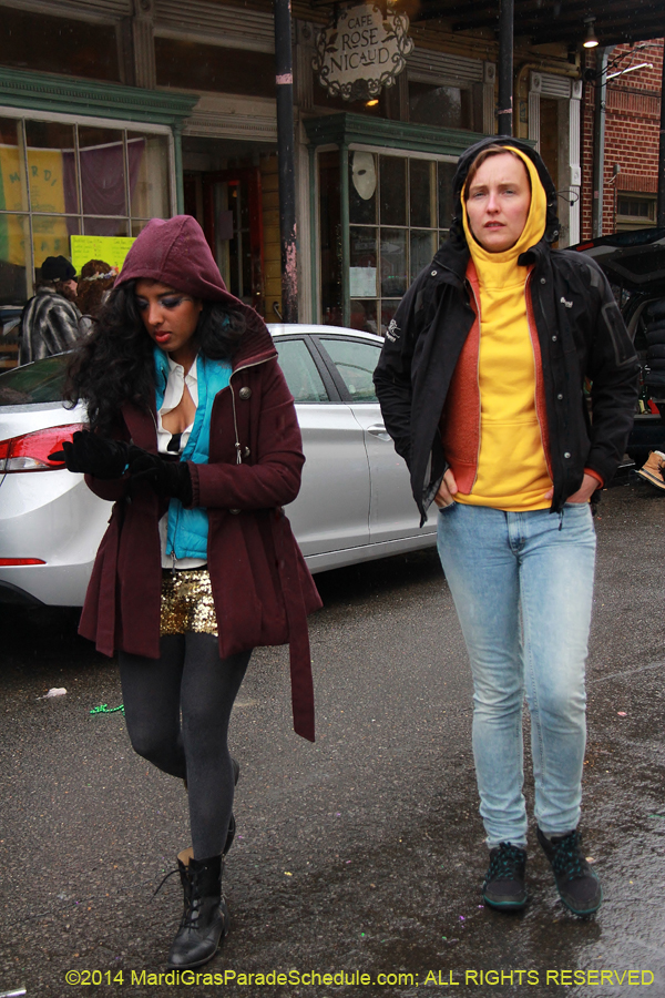 2014-Mardi-Gras-Day-11645