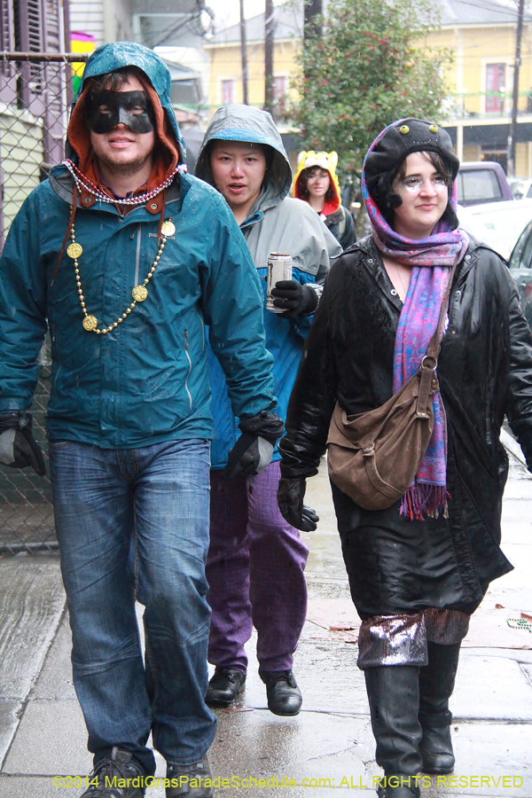 2014-Mardi-Gras-Day-11649