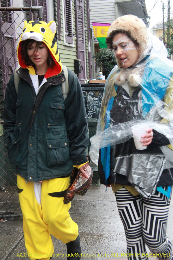 2014-Mardi-Gras-Day-11650