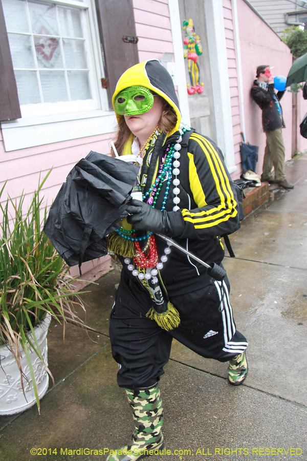 2014-Mardi-Gras-Day-11653
