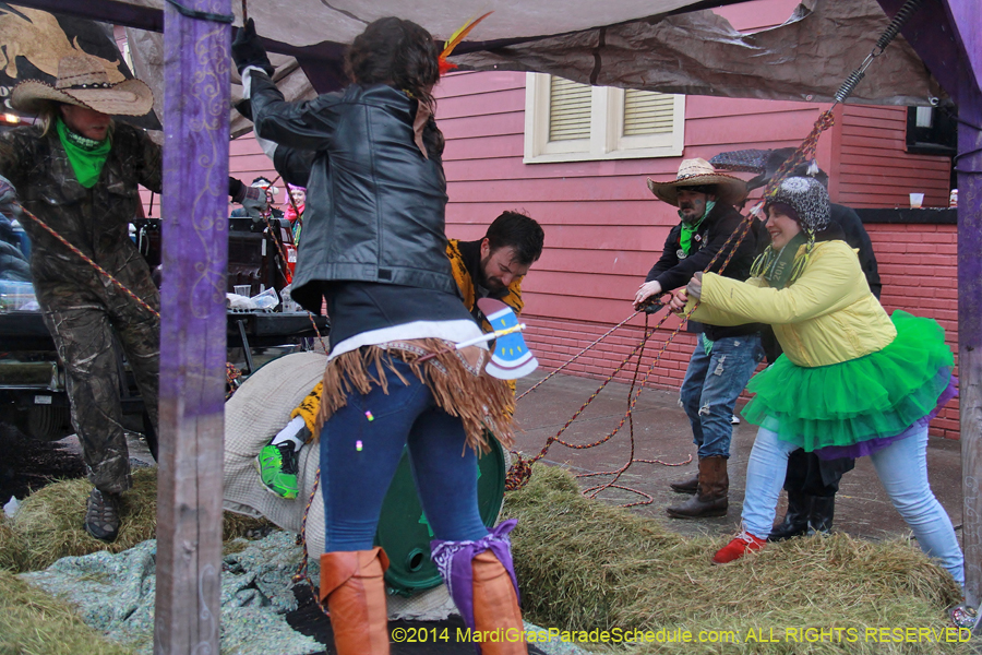 2014-Mardi-Gras-Day-11654