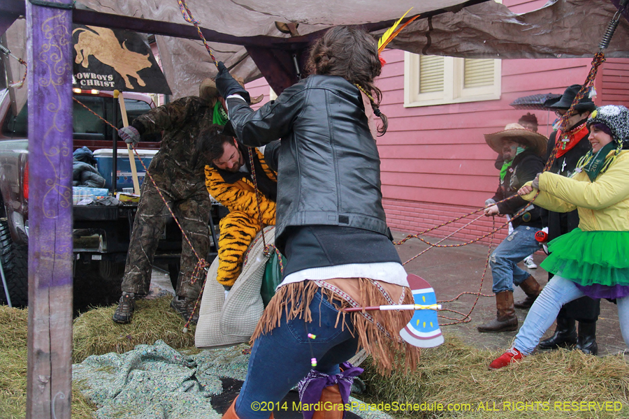 2014-Mardi-Gras-Day-11655