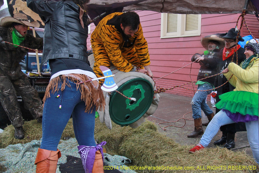 2014-Mardi-Gras-Day-11656