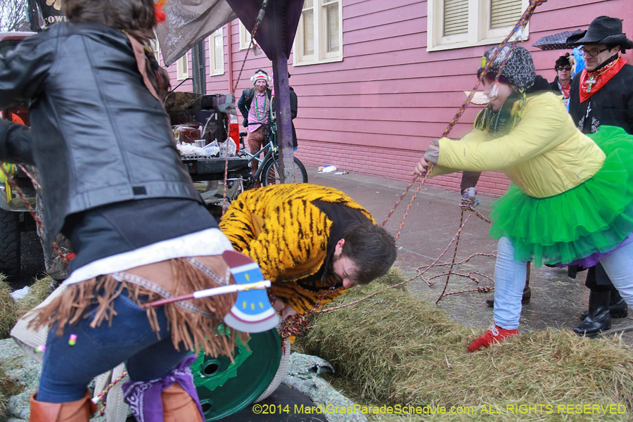 2014-Mardi-Gras-Day-11657