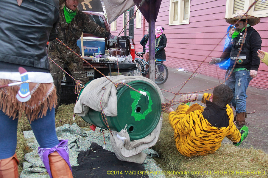 2014-Mardi-Gras-Day-11659