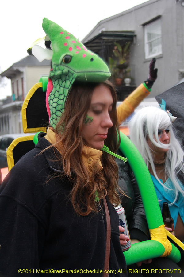 2014-Mardi-Gras-Day-11665