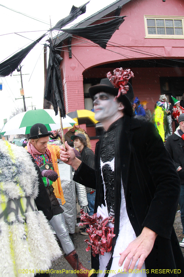 2014-Mardi-Gras-Day-11666