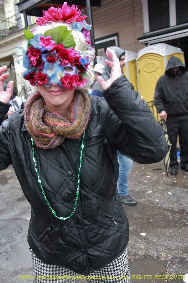 2014-Mardi-Gras-Day-11667
