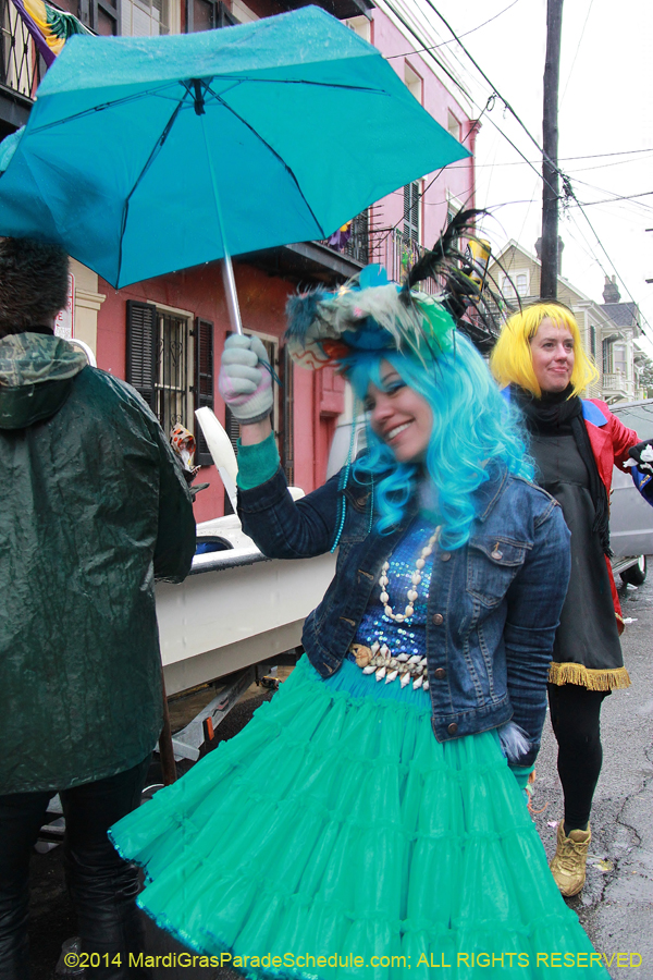2014-Mardi-Gras-Day-11669