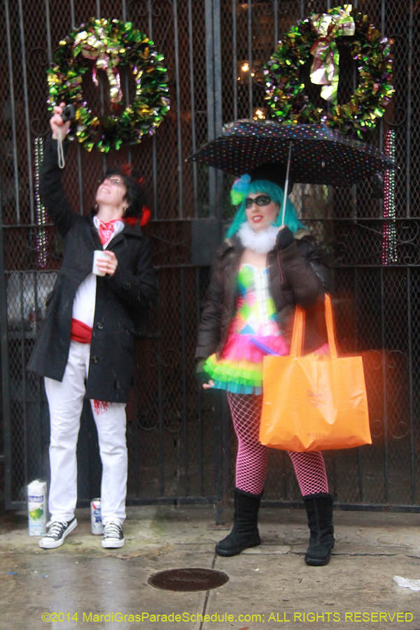 2014-Mardi-Gras-Day-11673