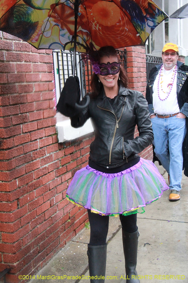 2014-Mardi-Gras-Day-11674