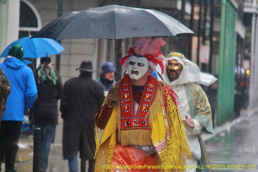 2014-Mardi-Gras-Day-11678