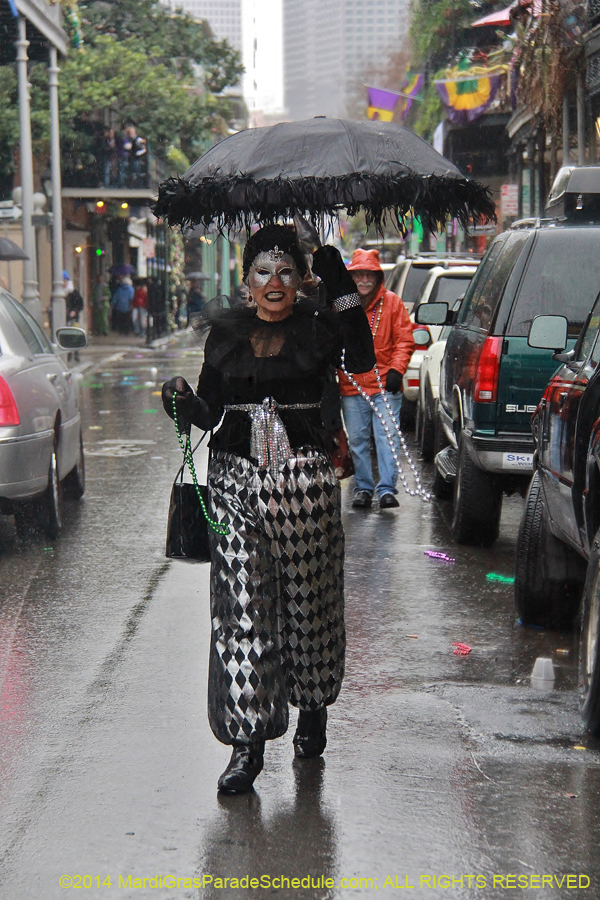 2014-Mardi-Gras-Day-11685