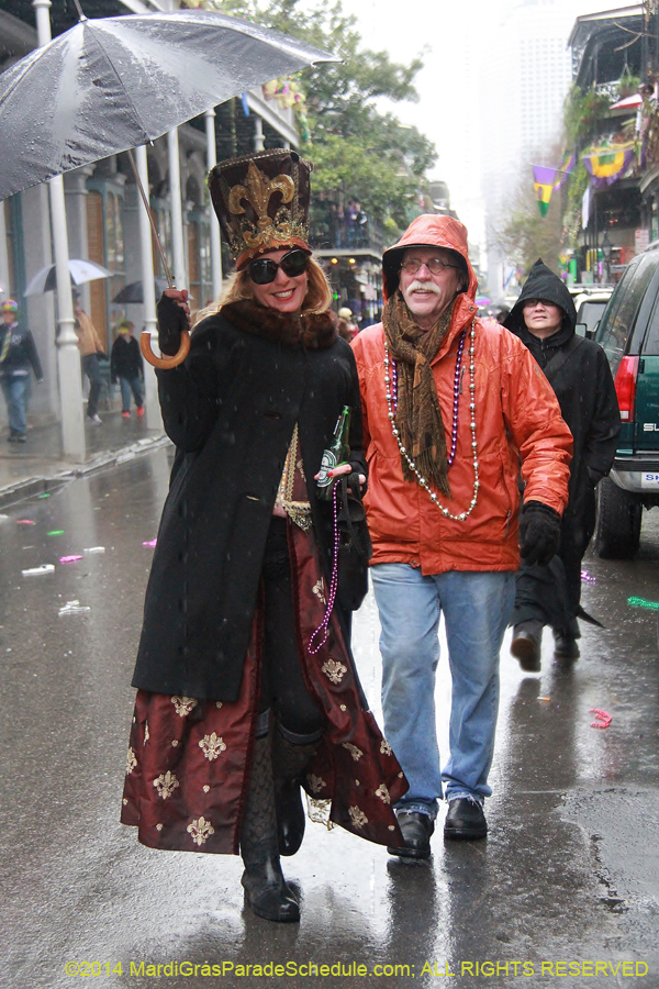 2014-Mardi-Gras-Day-11689