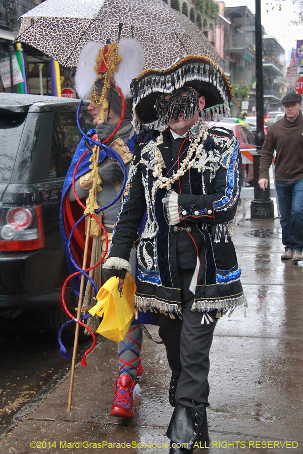 2014-Mardi-Gras-Day-11692