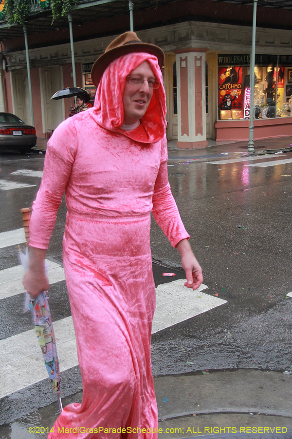 2014-Mardi-Gras-Day-11694