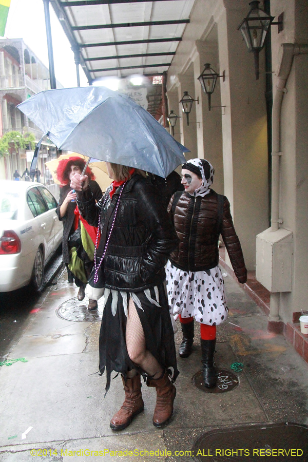 2014-Mardi-Gras-Day-11697