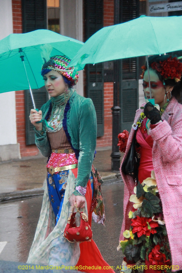 2014-Mardi-Gras-Day-11698