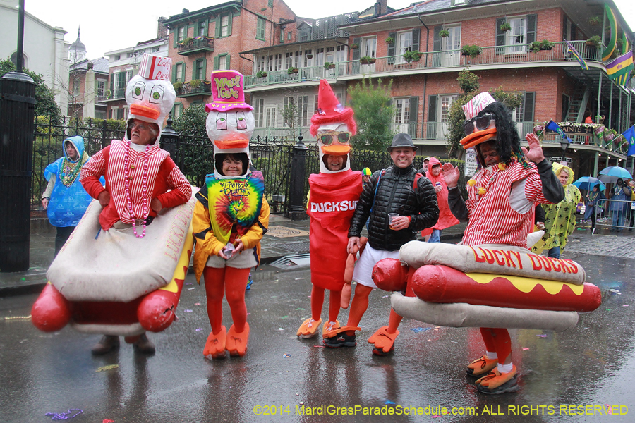 2014-Mardi-Gras-Day-11726