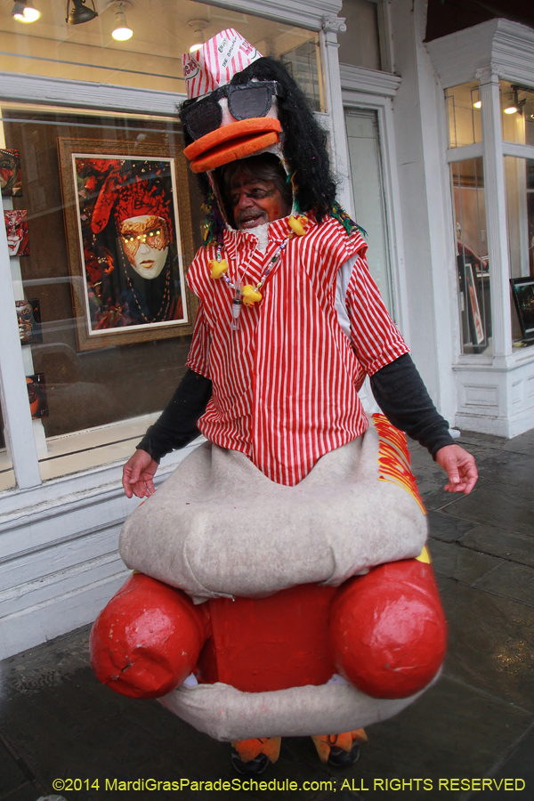 2014-Mardi-Gras-Day-11728