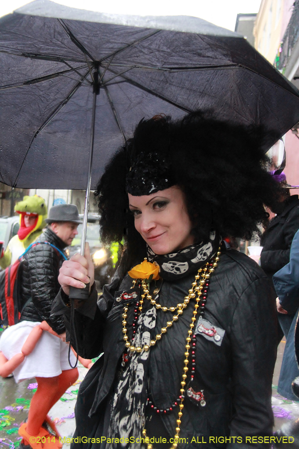 2014-Mardi-Gras-Day-11782