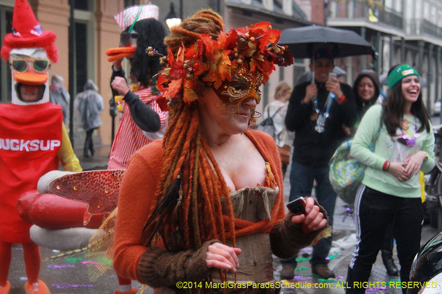 2014-Mardi-Gras-Day-11784