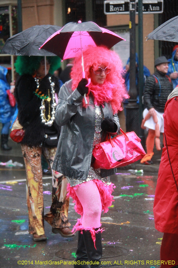 2014-Mardi-Gras-Day-11785