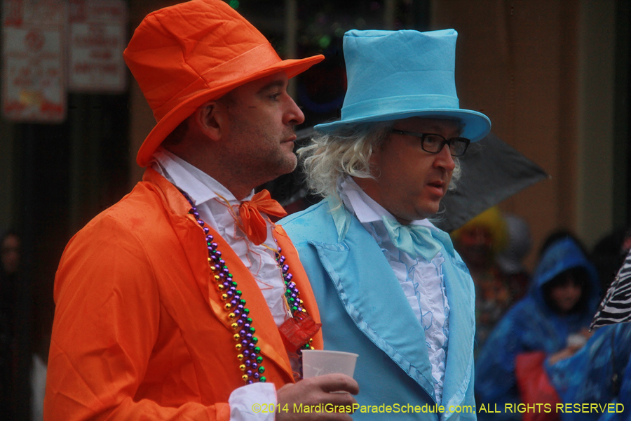 2014-Mardi-Gras-Day-11786