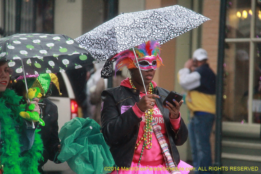 2014-Mardi-Gras-Day-11787