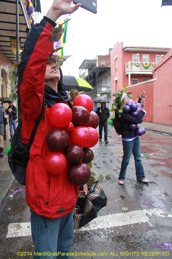 2014-Mardi-Gras-Day-11790