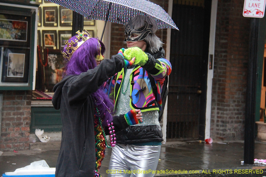 2014-Mardi-Gras-Day-11793