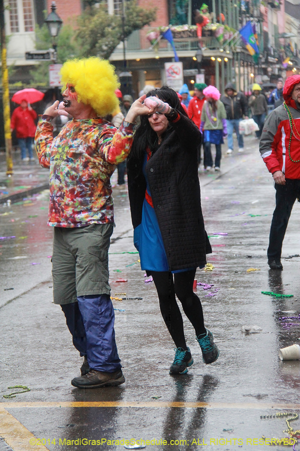 2014-Mardi-Gras-Day-11797