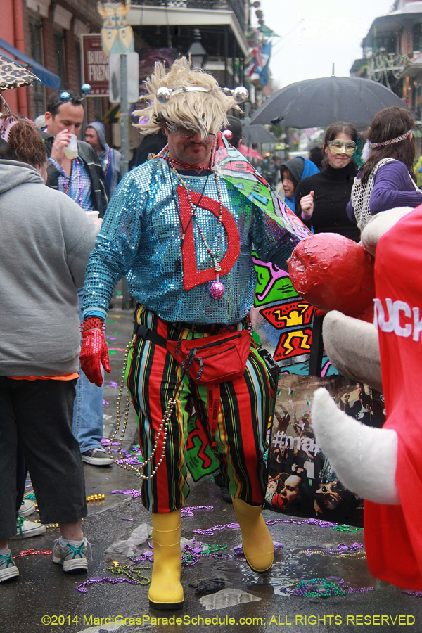 2014-Mardi-Gras-Day-11800