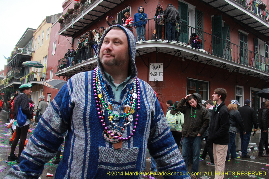 2014-Mardi-Gras-Day-11804