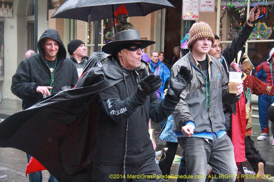 2014-Mardi-Gras-Day-11806