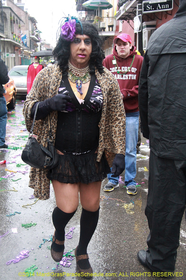 2014-Mardi-Gras-Day-11807