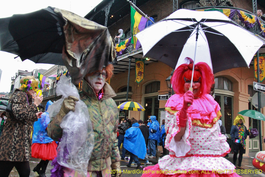 2014-Mardi-Gras-Day-11809