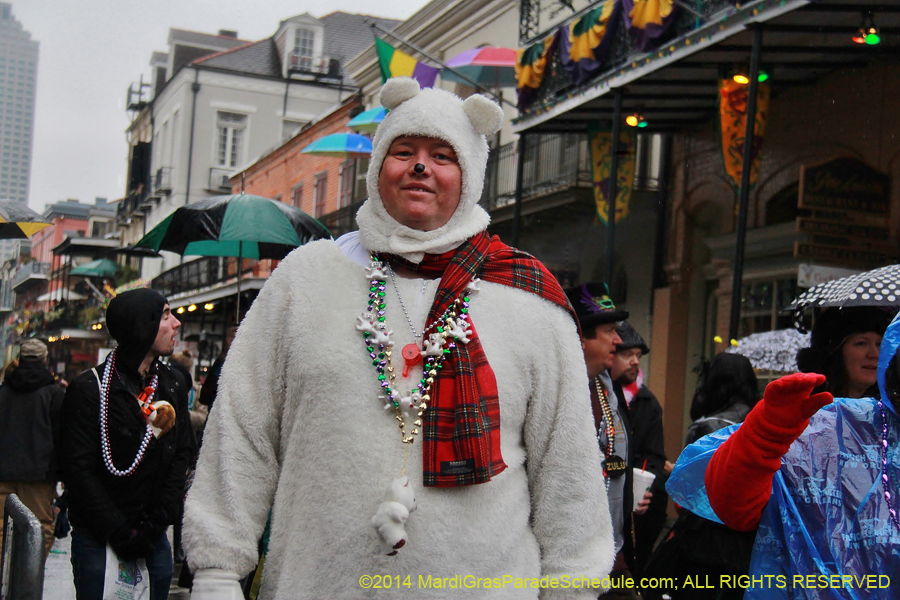 2014-Mardi-Gras-Day-11810