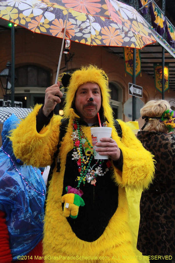 2014-Mardi-Gras-Day-11811