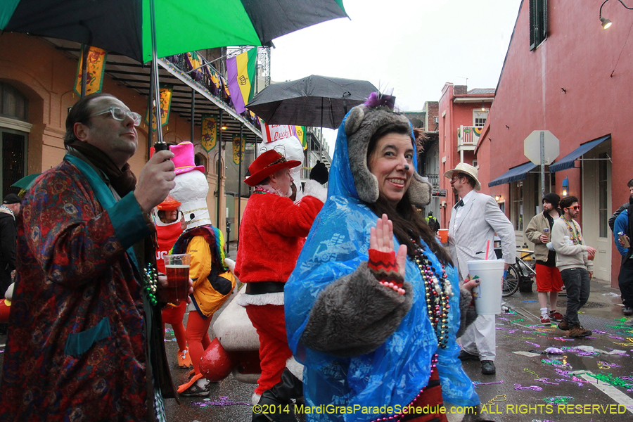 2014-Mardi-Gras-Day-11813