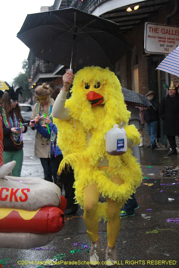 2014-Mardi-Gras-Day-11814