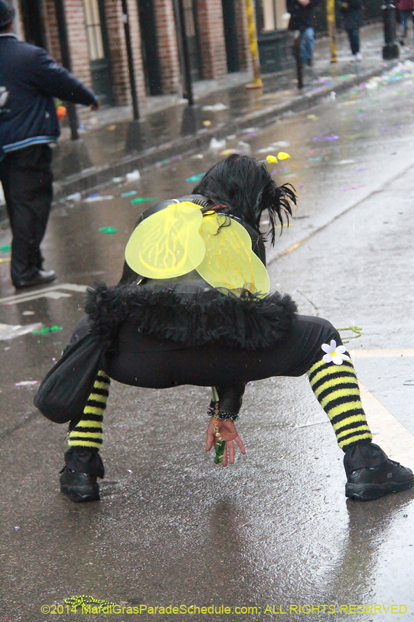 2014-Mardi-Gras-Day-11815