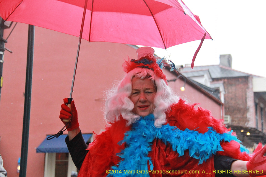2014-Mardi-Gras-Day-11818