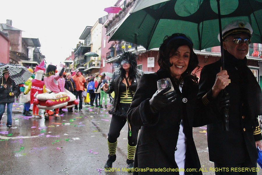 2014-Mardi-Gras-Day-11820