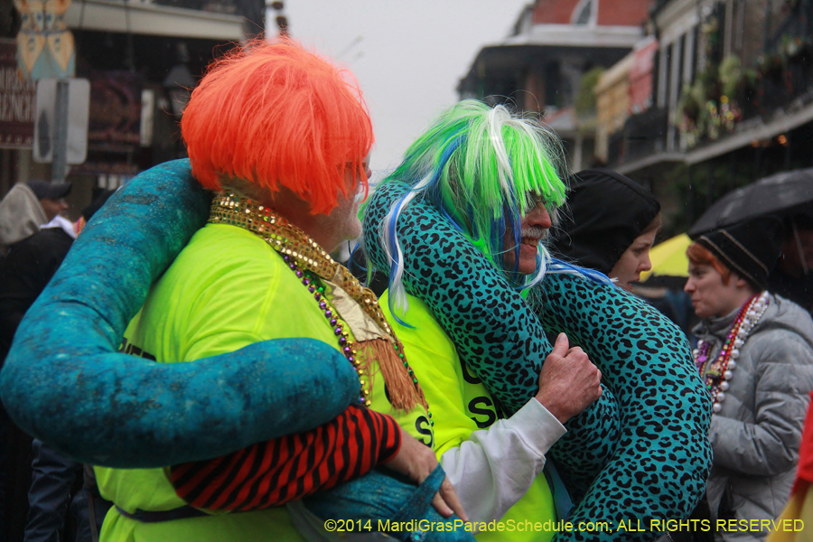 2014-Mardi-Gras-Day-11822
